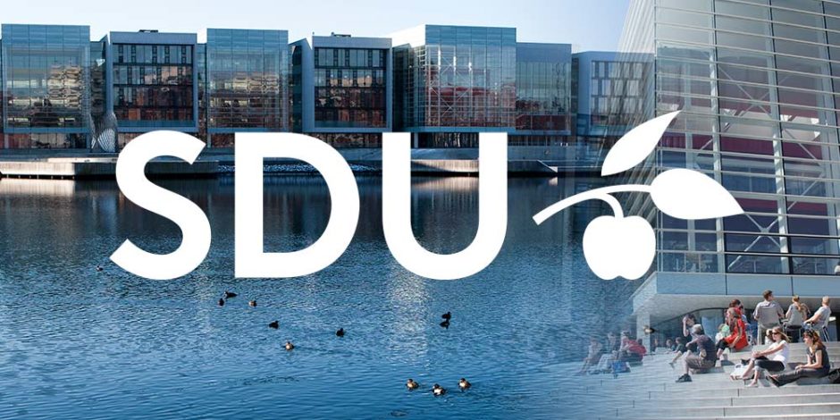 Dänemark SDU, Sonderburg › Lehrstuhl für Technologiemanagement