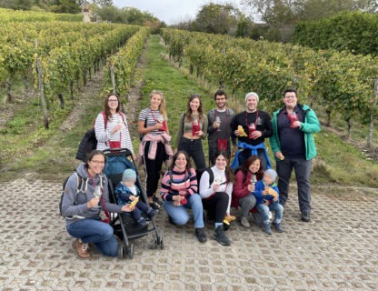 Zum Artikel "Praktisches Seminar in den Weinbergen von Veitshöchheim"