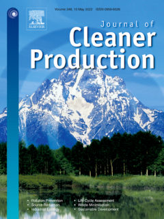 Titel des Journal of Cleaner Production