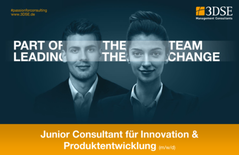 Ausschreibung Junior Consultant 3DSE